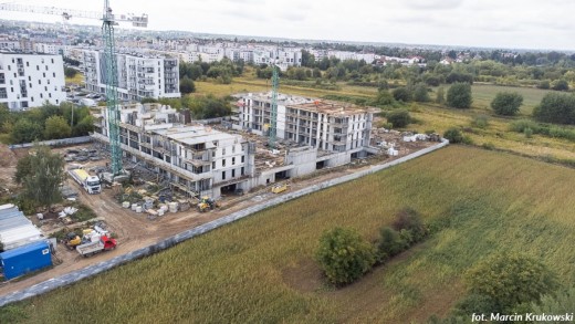 DJI_0981.jpg